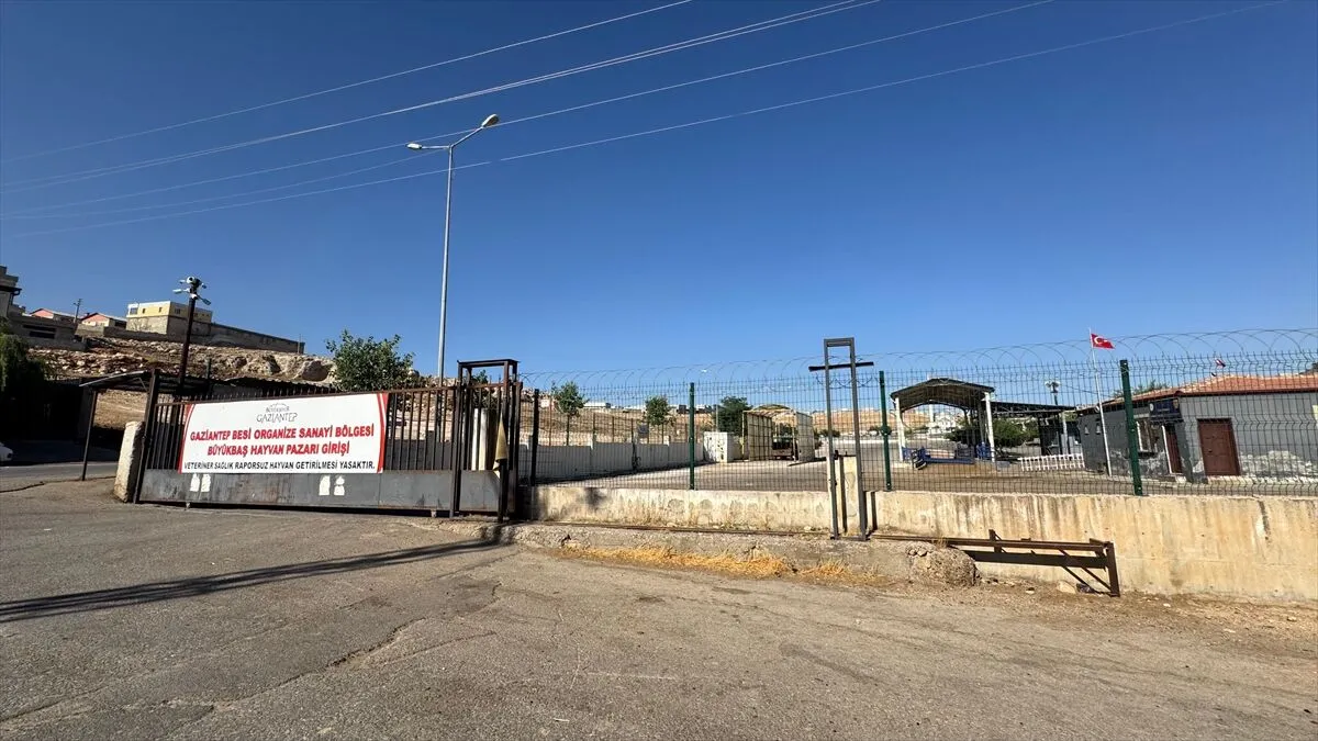 Gaziantep’te Şap Hastalığı Endişesi: Karantina Devam Ediyor