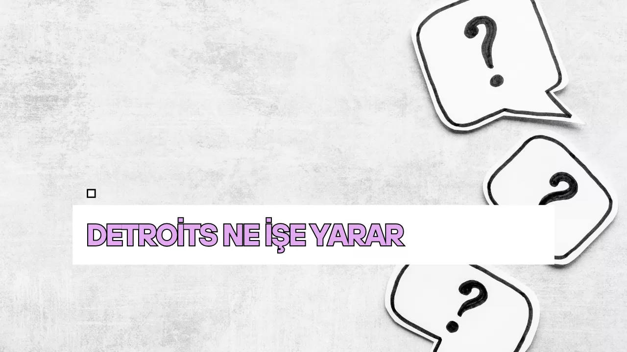 Detroits Ne İşe Yarar?