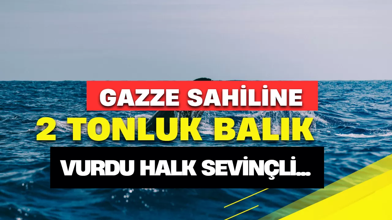 Gazze Sahilinde Dev Balık Heyecanı: 10 Metrelik Dev Canlı Halkı Sevince Boğdu