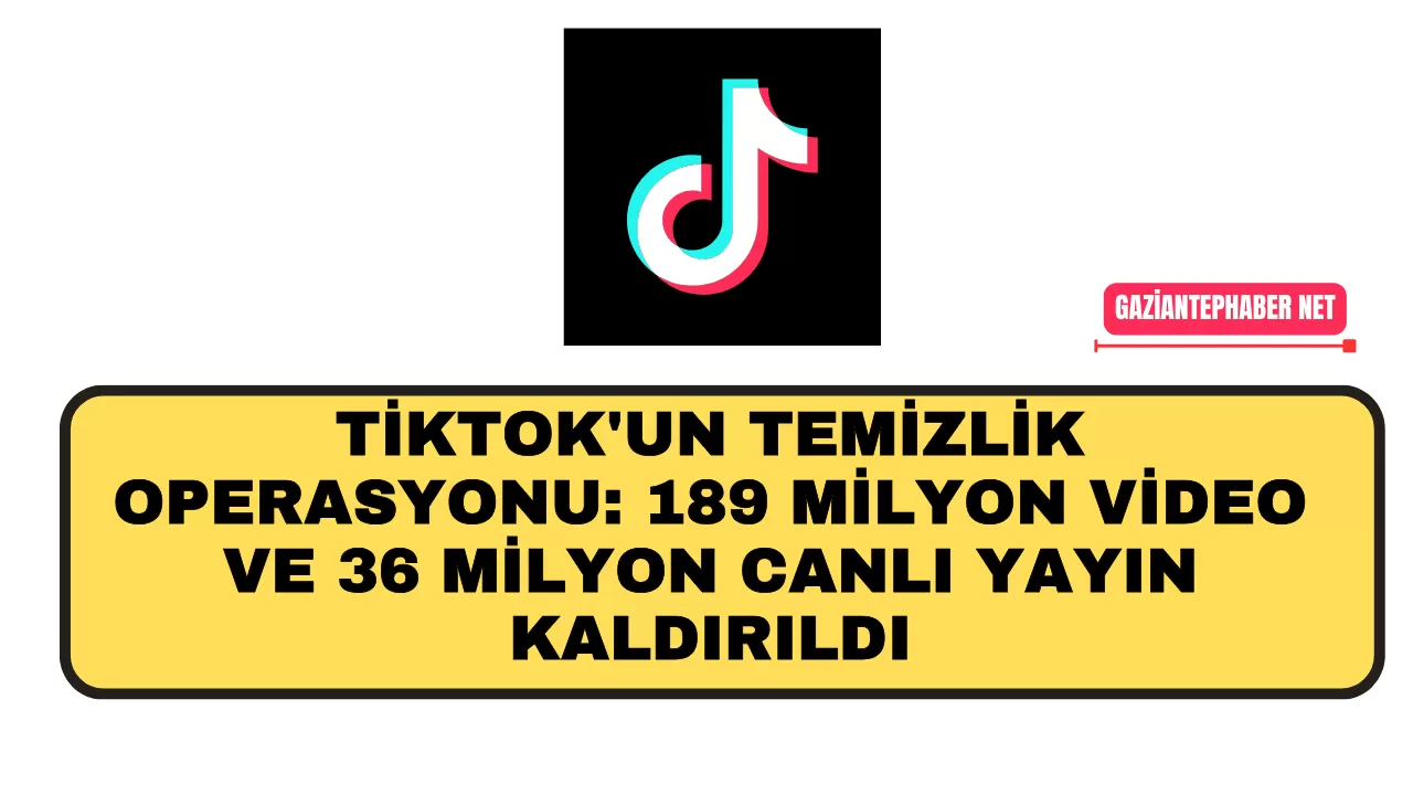 TikTok’un Temizlik Operasyonu: 189 Milyon Video ve 36 Milyon Canlı Yayın Kaldırıldı