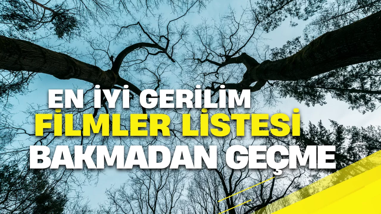 Tüyleri Diken Diken Eden Son Dönem Gerilim Filmleri