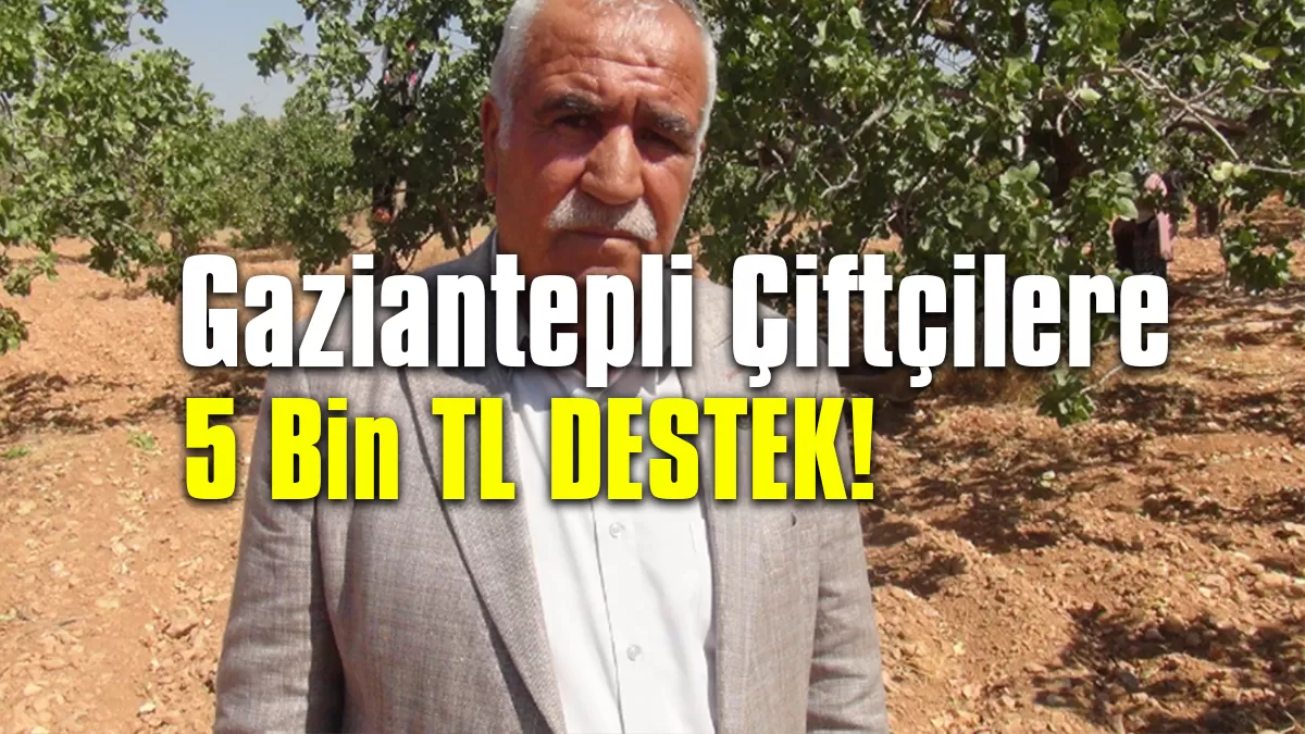 Dondan Zarar Gören Gaziantepli Çiftçilere 5 Bin TL Destek
