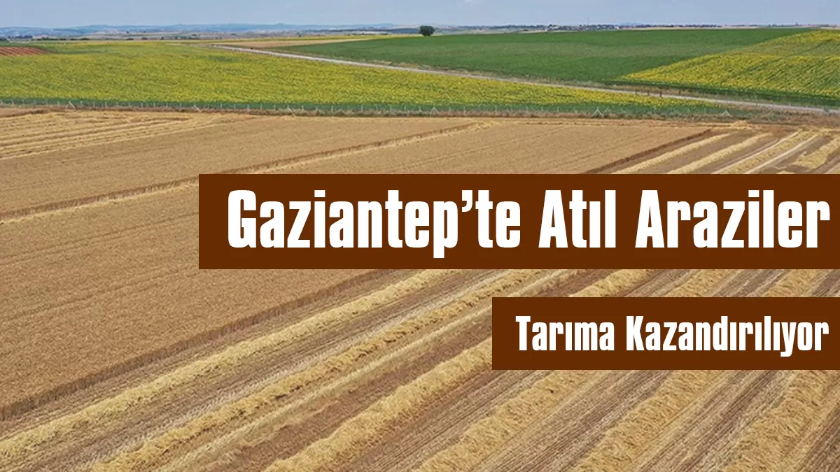 Gaziantep’te Atıl Araziler Tarıma Kazandırılıyor