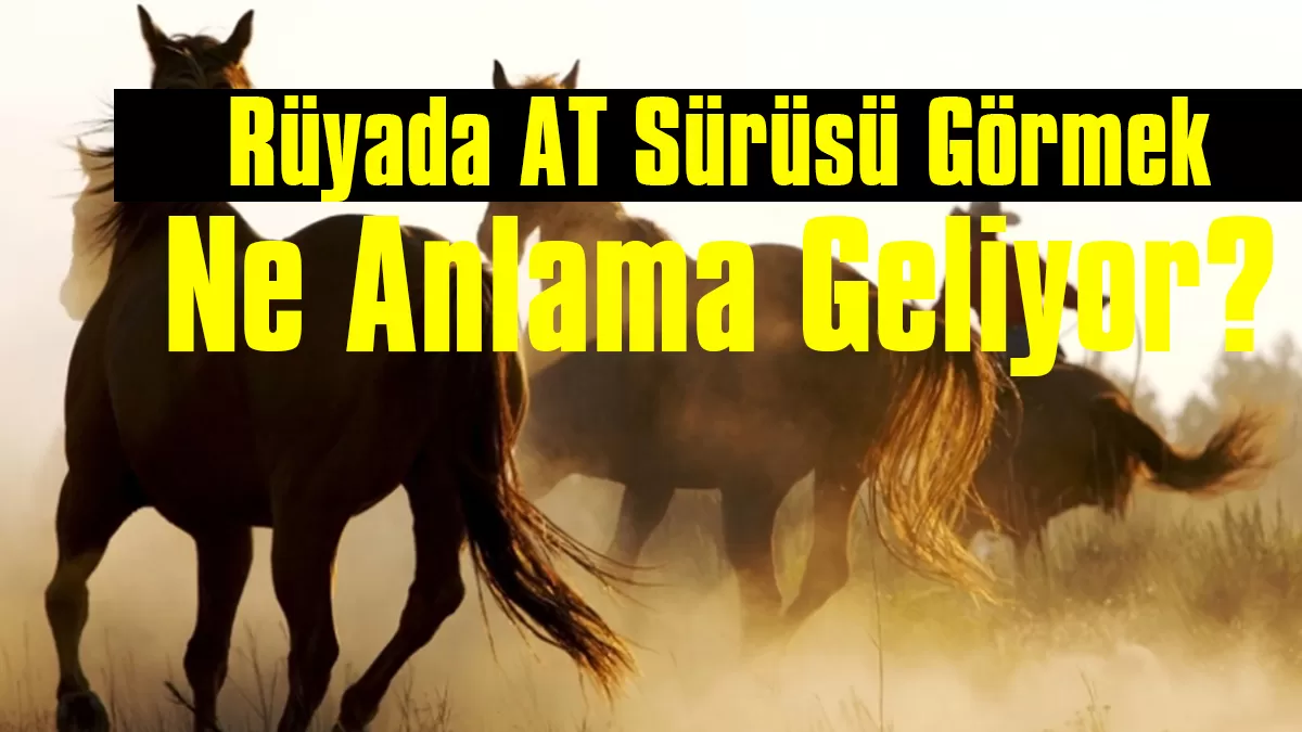 Rüyada At Sürüsü Görmek Ne Anlama Geliyor? İşte Rüya Tabirleri