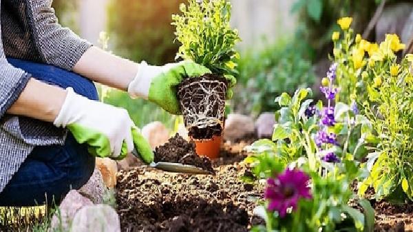 Yapay Zeka ile Tarihin Parası: İcadı Olmasaydı Dünyamız Nasıl Olurdu?