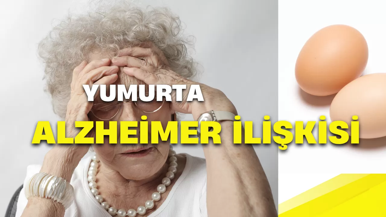 Yumurta Alzheimer’a Karşı Koruyabilir mi?