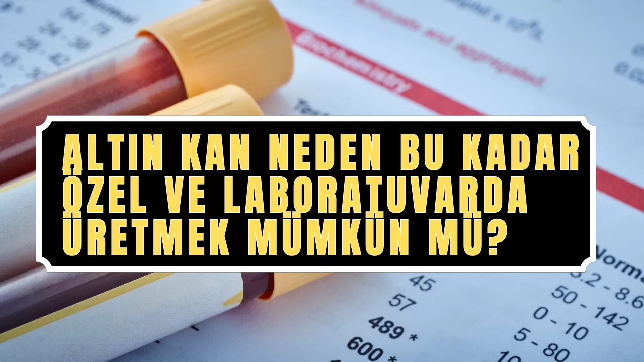 Altın Kan Neden Bu Kadar Özel ve Laboratuvarda Üretmek Mümkün mü?
