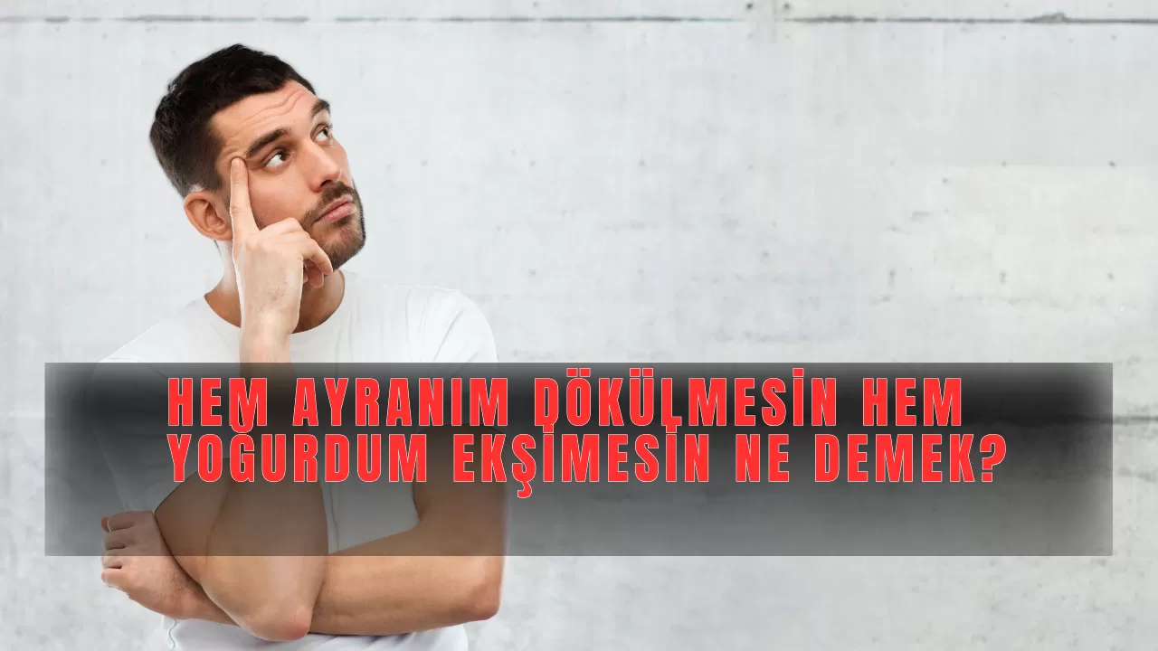 Hem Ayranım Dökülmesin Hem Yoğurdum Ekşimesin Ne Demek?