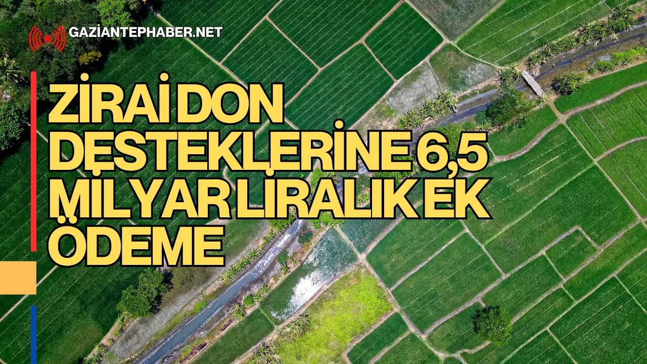 Tarıma Can Suyu: Zirai Don Desteklerine 6,5 Milyar Liralık Ek Ödeme
