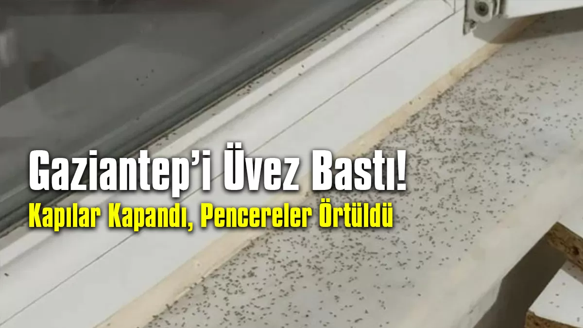 Gaziantep’i Üvez Bastı!