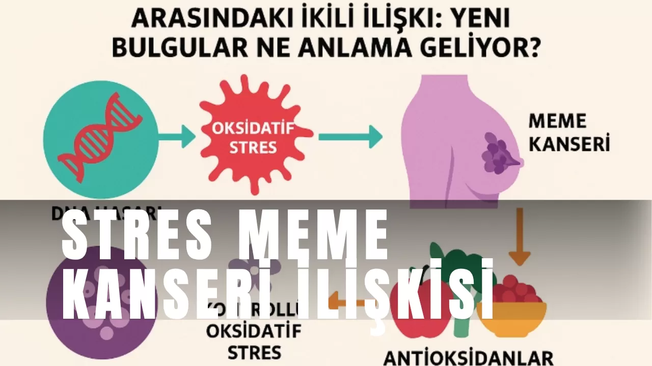 Oksidatif Stres ve Meme Kanseri İlişkisi