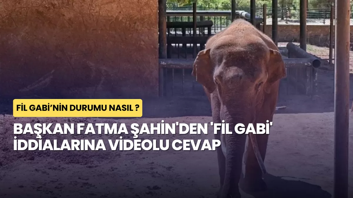 Başkan Fatma Şahin’den ‘Fil Gabi’ İddialarına Videolu Cevap: Durumu Nasıl?
