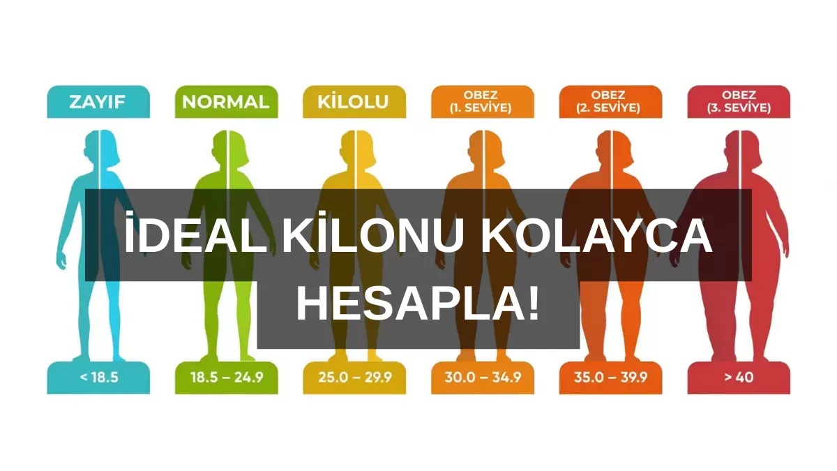 Kaç Kilo Olmalısınız? Yaşa Göre İdeal Kilo Hesaplama Rehberi ile Tanışın!