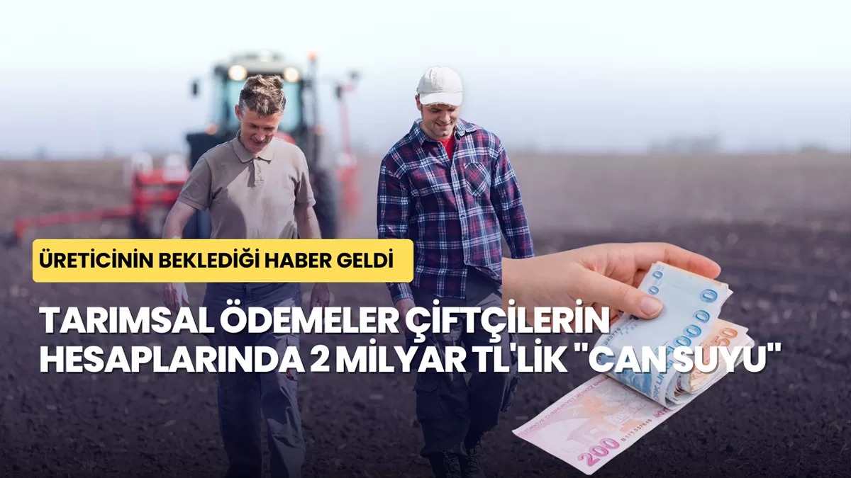 Üreticinin Beklediği Haber Geldi: Tarımsal Ödemeler Çiftçilerin Hesaplarına Yattı!