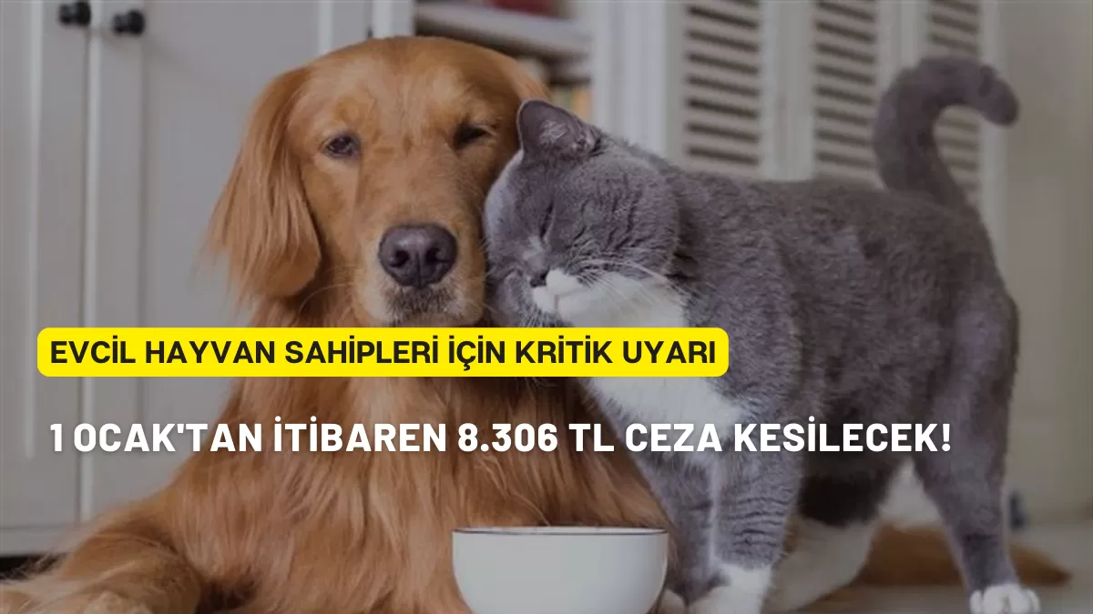 Evcil Hayvan Sahipleri İçin Kritik Uyarı: 1 Ocak’tan İtibaren 8.306 TL Ceza Kesilecek!