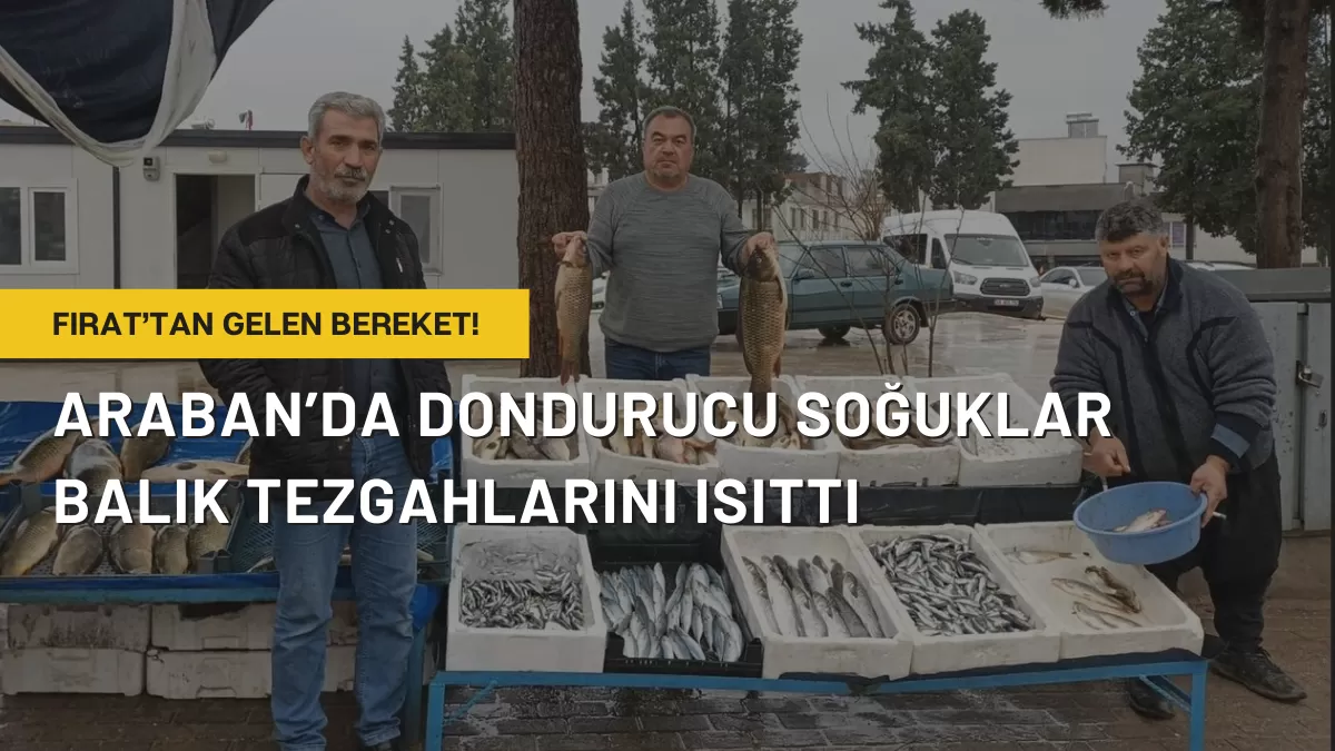 Araban’da Dondurucu Soğuklar Balık Tezgahlarını Isıttı: Fırat’tan Gelen Bereket!