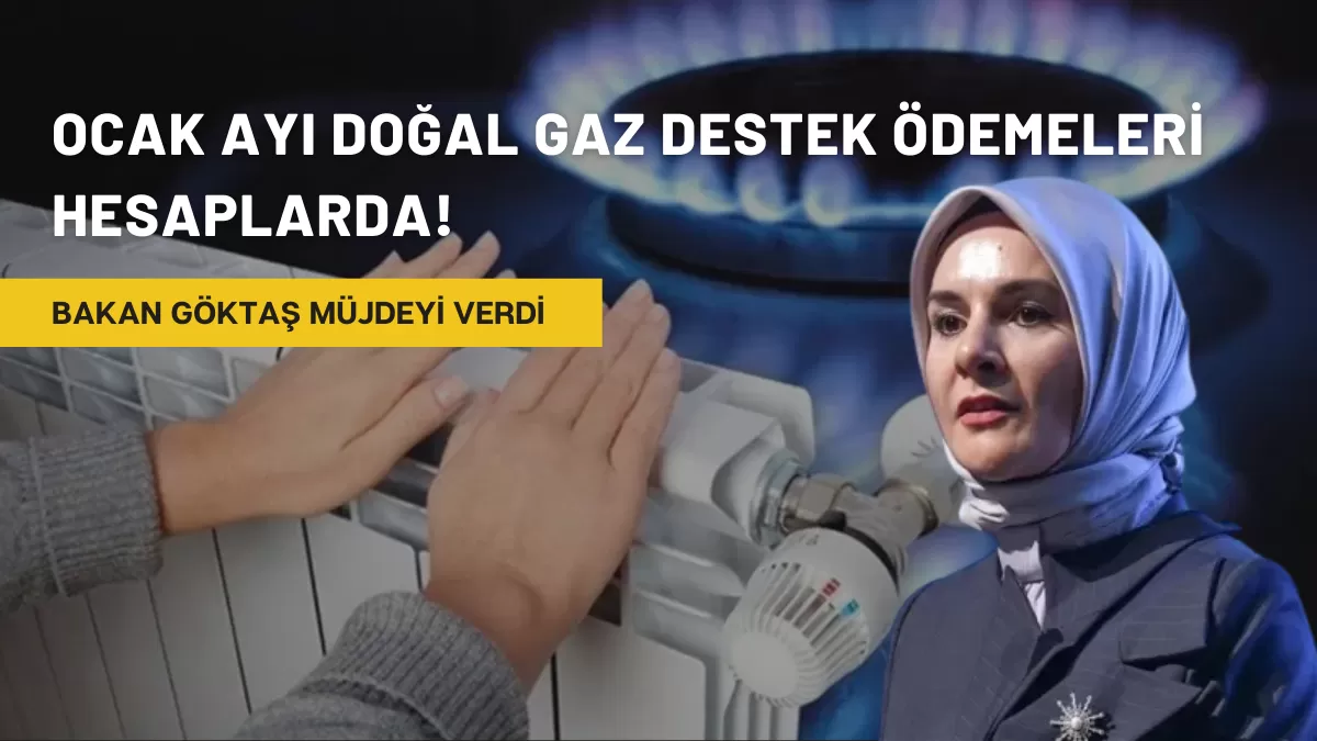 Bakan Göktaş Müjdeyi Verdi: Ocak Ayı Doğal Gaz Destek Ödemeleri Hesaplarda!