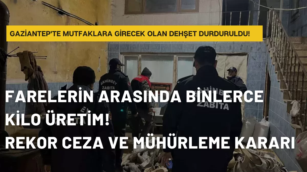 Gaziantep’te Mutfaklara Girecek Olan Dehşet Durduruldu! Farelerin Cirit Attığı O Adreste Şok Görüntüler…