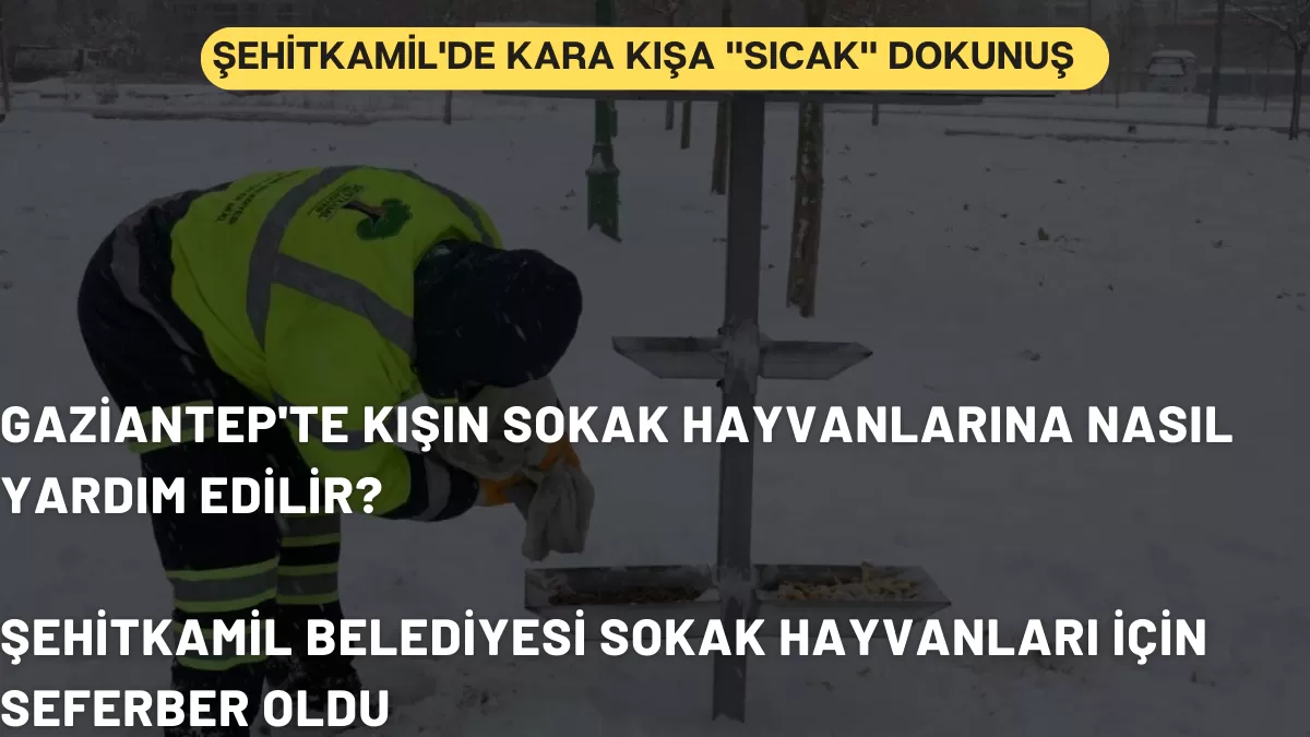 Şehitkamil’de Kara Kışa “Sıcak” Dokunuş: Başkan Yılmaz Can Dostlarını Yalnız Bırakmadı