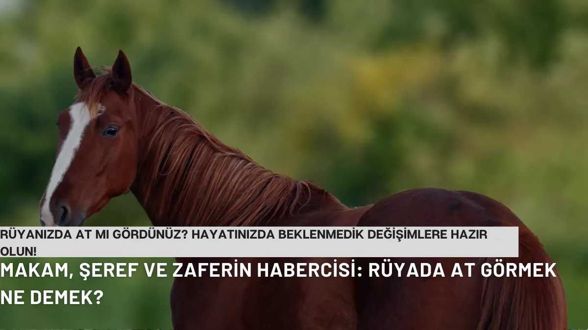 Rüyanızda At Mı Gördünüz? Hayatınızda Beklenmedik Değişimlere Hazır Olun! İşte Rüyada At Görmenin Gizemi…