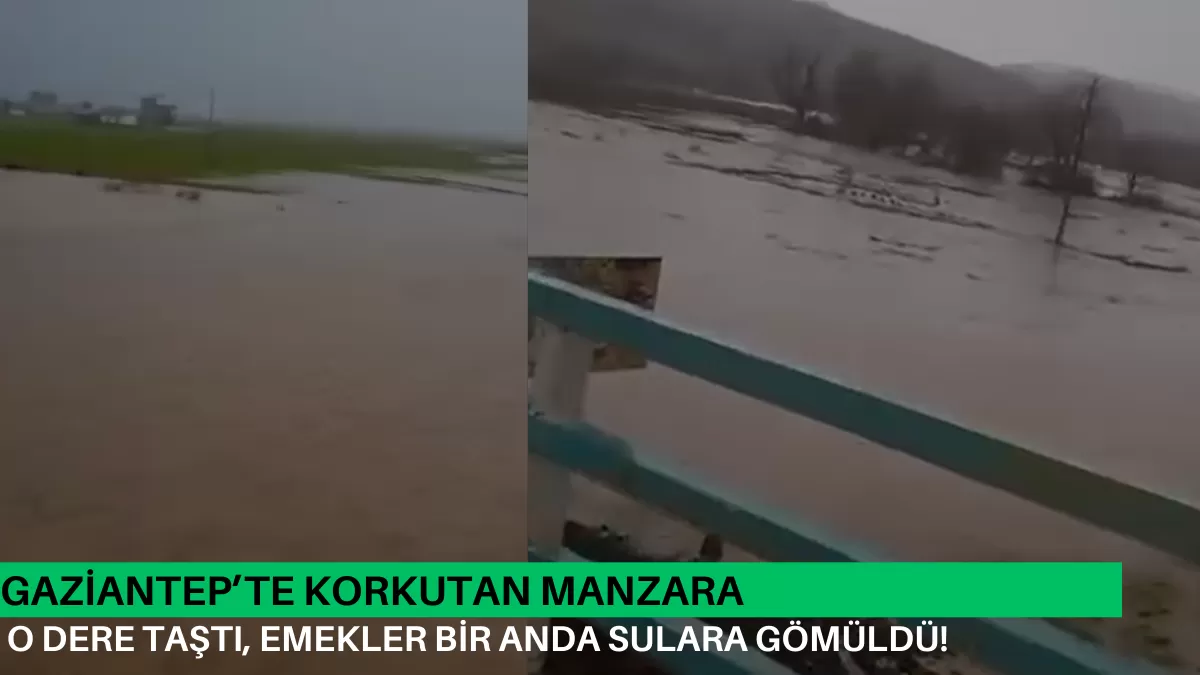 Gaziantep’te Korkutan Manzara: O Dere Taştı, Emekler Bir Anda Sulara Gömüldü!