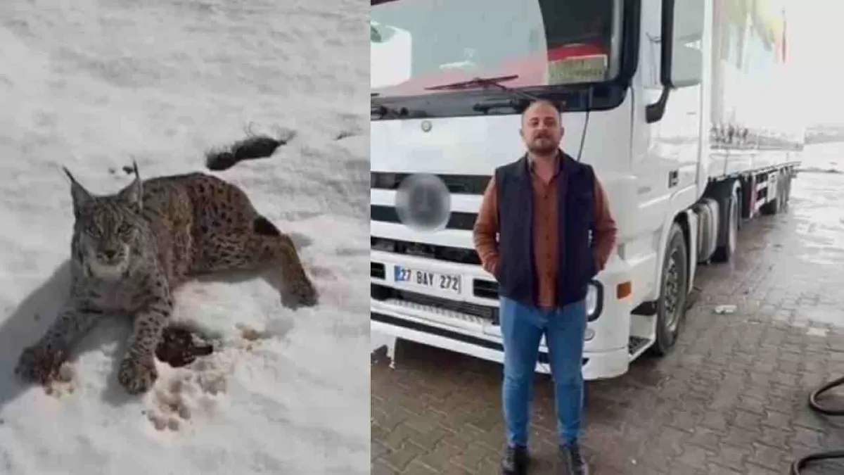 Gaziantepli Tır Şoförü Buz Kesen Yolda Durdu, Yaptığı Hareketle Türkiye’yi Ağlattı: “İnsanlık Ölmemiş!”