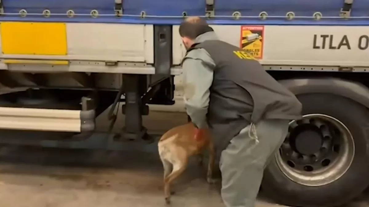 75 İlde Zehir Tacirlerine Dev Operasyon: Yaklaşık 1 Ton Uyuşturucu Ele Geçirildi!