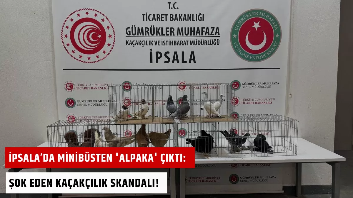 İpsala’da Minibüsten ‘Alpaka’ Çıktı: Şok Eden Kaçakçılık Skandalı!