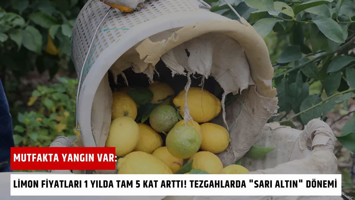 Mutfakta Yangın Var: Limon Fiyatları 1 Yılda Tam 5 Kat Arttı! Tezgahlarda “Sarı Altın” Dönemi