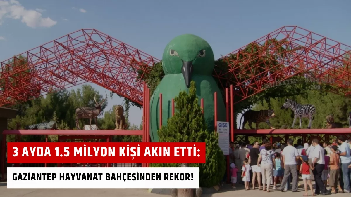 3 Ayda 1.5 Milyon Kişi Akın Etti: GAZİANTEP HAYVANAT BAHÇESİNDEN REKOR!