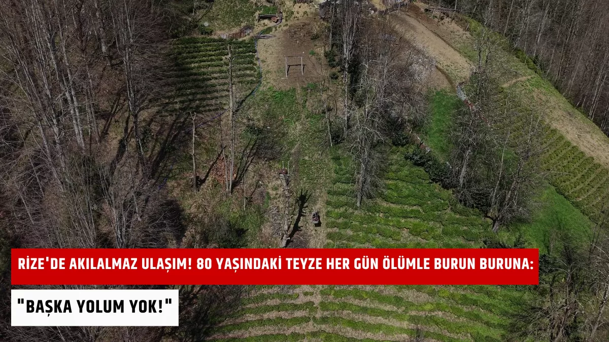 Rize’de Akılalmaz Ulaşım! 80 Yaşındaki Teyze Her Gün Ölümle Burun Buruna: “Başka Yolum Yok!”
