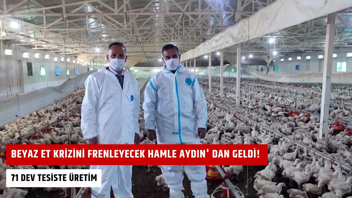 Beyaz Et Krizini Frenleyecek Hamle Aydın’ dan Geldi! 71 Dev Tesiste Üretim