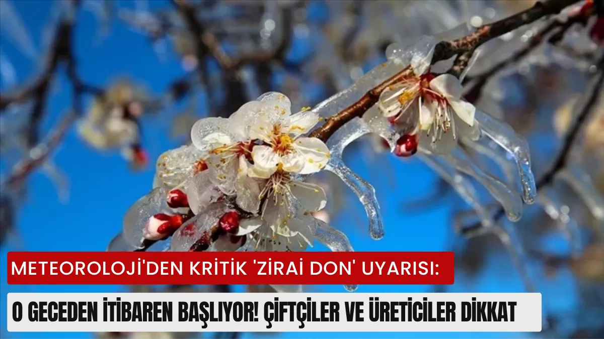 Meteoroloji’den Kritik ‘Zirai Don’ Uyarısı: O Geceden İtibaren Başlıyor! Çiftçiler ve Üreticiler Dikkat…