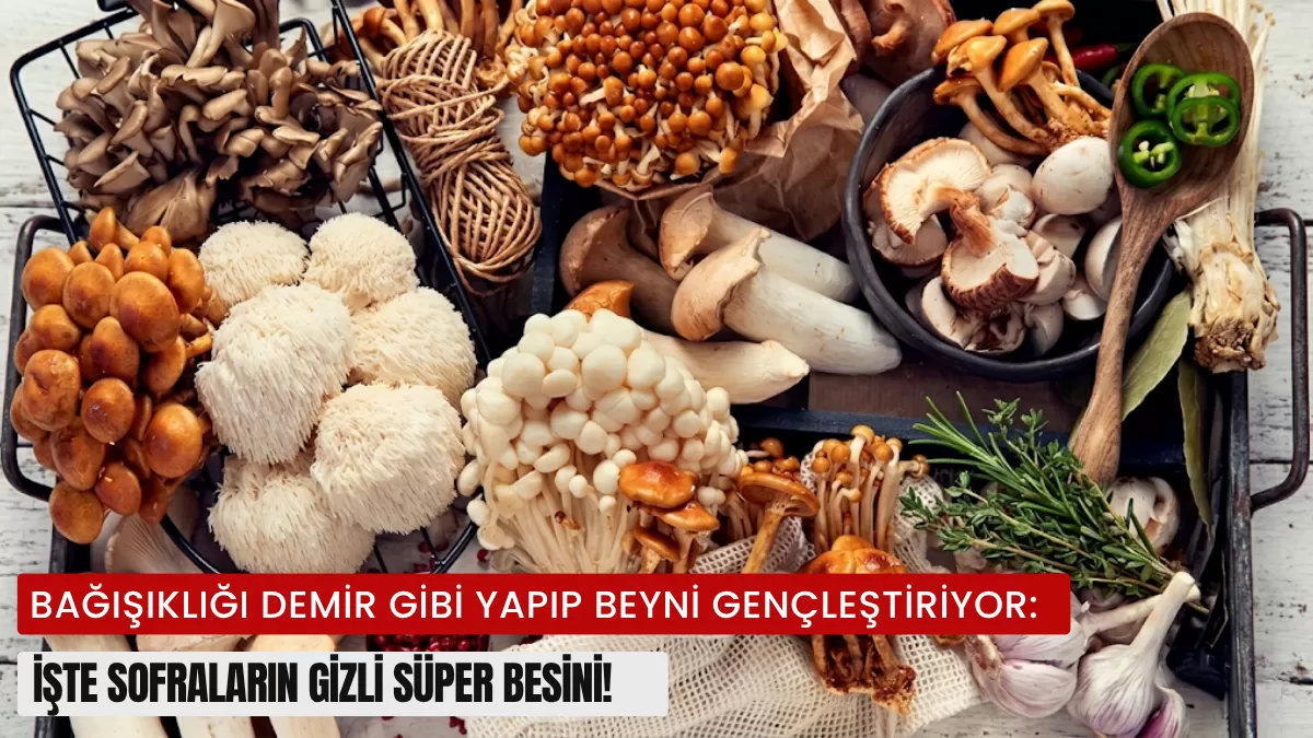 Bağışıklığı Demir Gibi Yapıp Beyni Gençleştiriyor: İşte Sofraların Gizli Süper Besini!