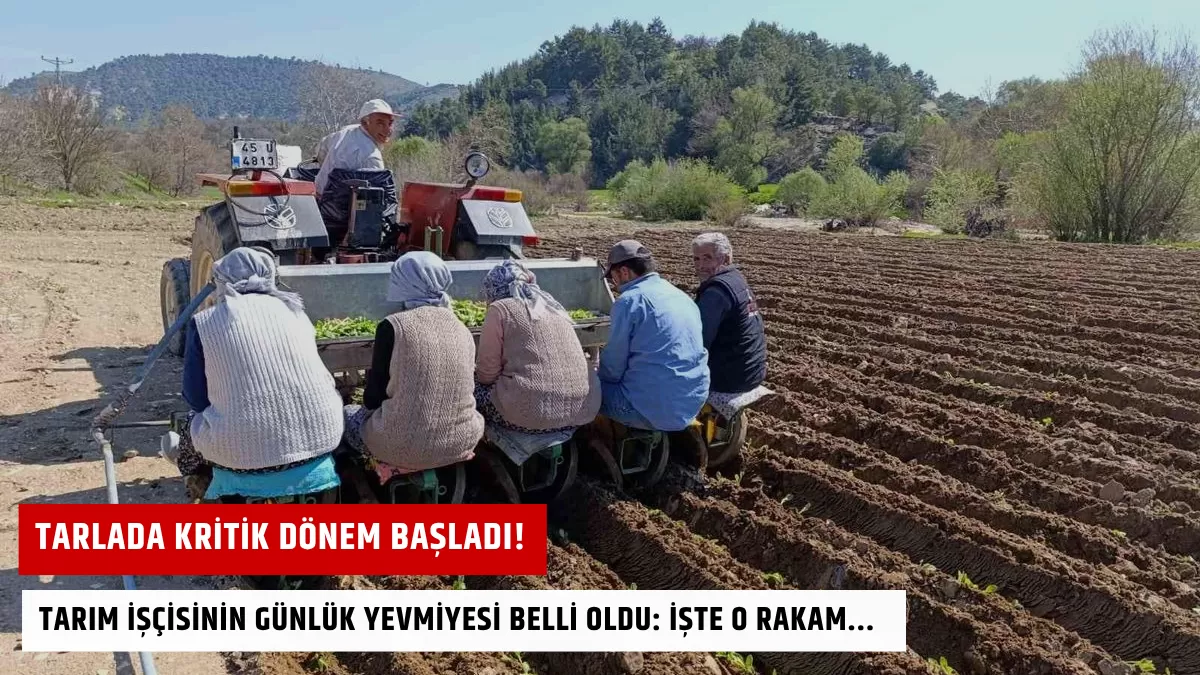 Tarlada Kritik Dönem Başladı! Tarım İşçisinin Günlük Yevmiyesi Belli Oldu: İşte O Rakam…