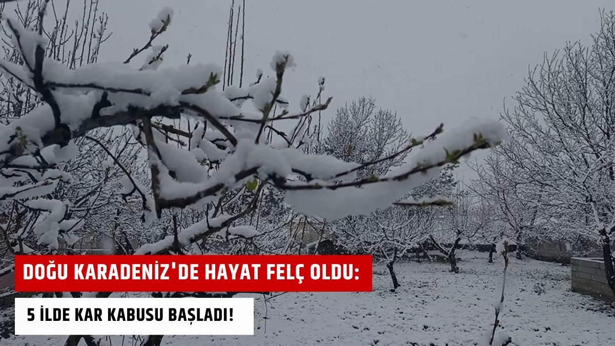 Doğu Karadeniz’de Hayat Felç Oldu: 5 İlde Kar Kabusu Başladı!