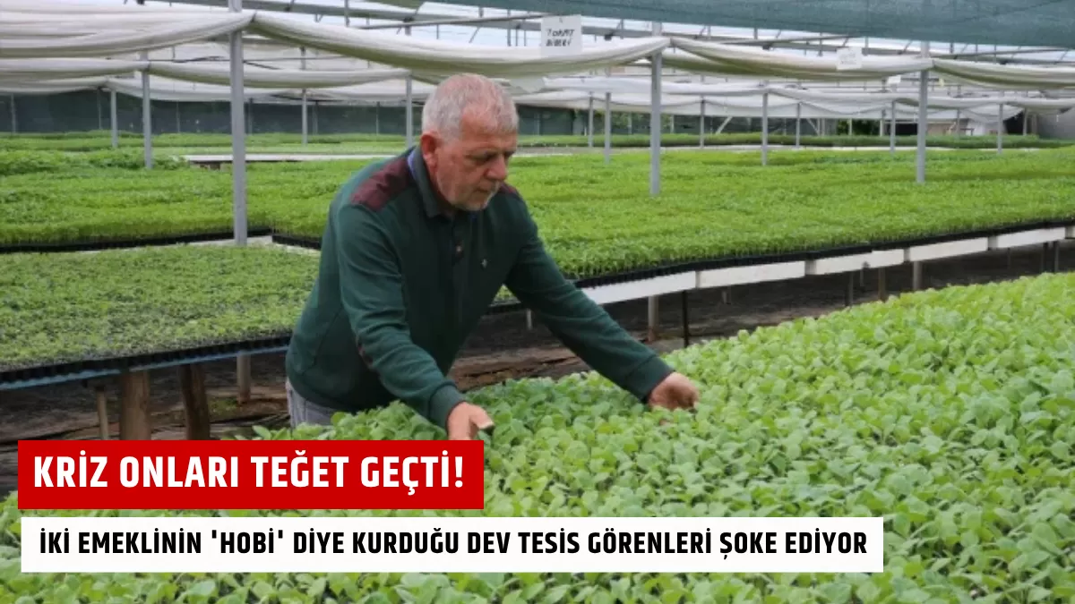 İki Emeklinin ‘Hobi’ Diye Kurduğu Dev Tesis Görenleri Şoke Ediyor