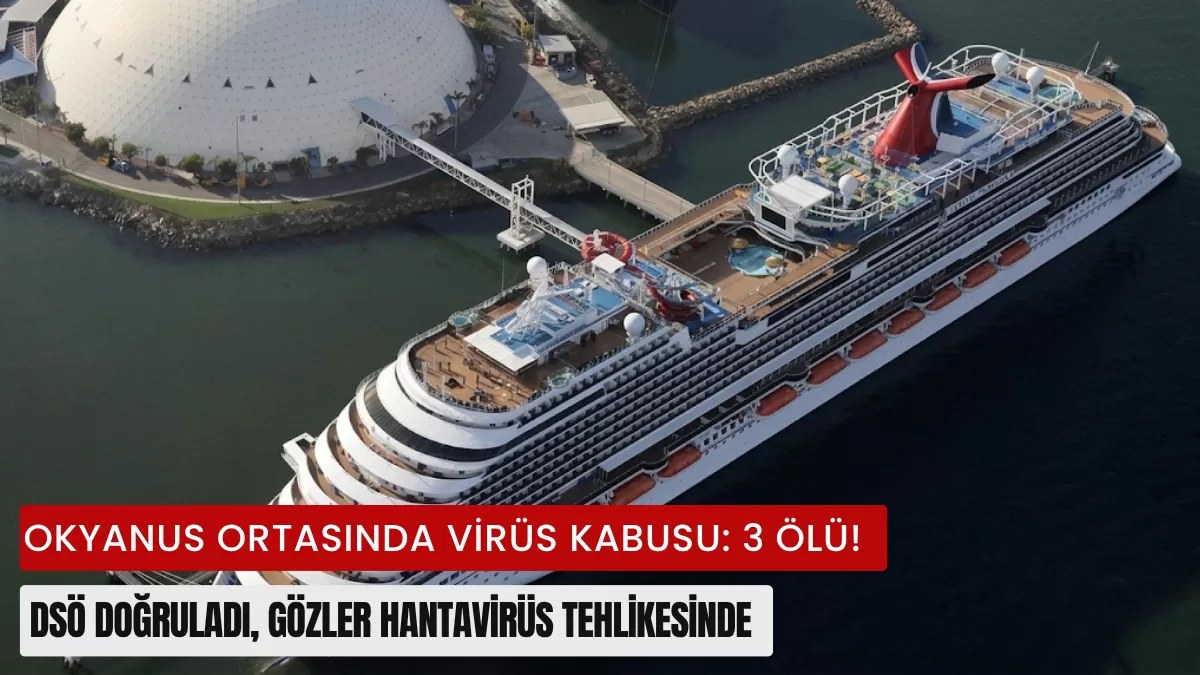 Okyanus Ortasında Virüs Kabusu: 3 Ölü! DSÖ Doğruladı, Gözler Hantavirüs Tehlikesinde