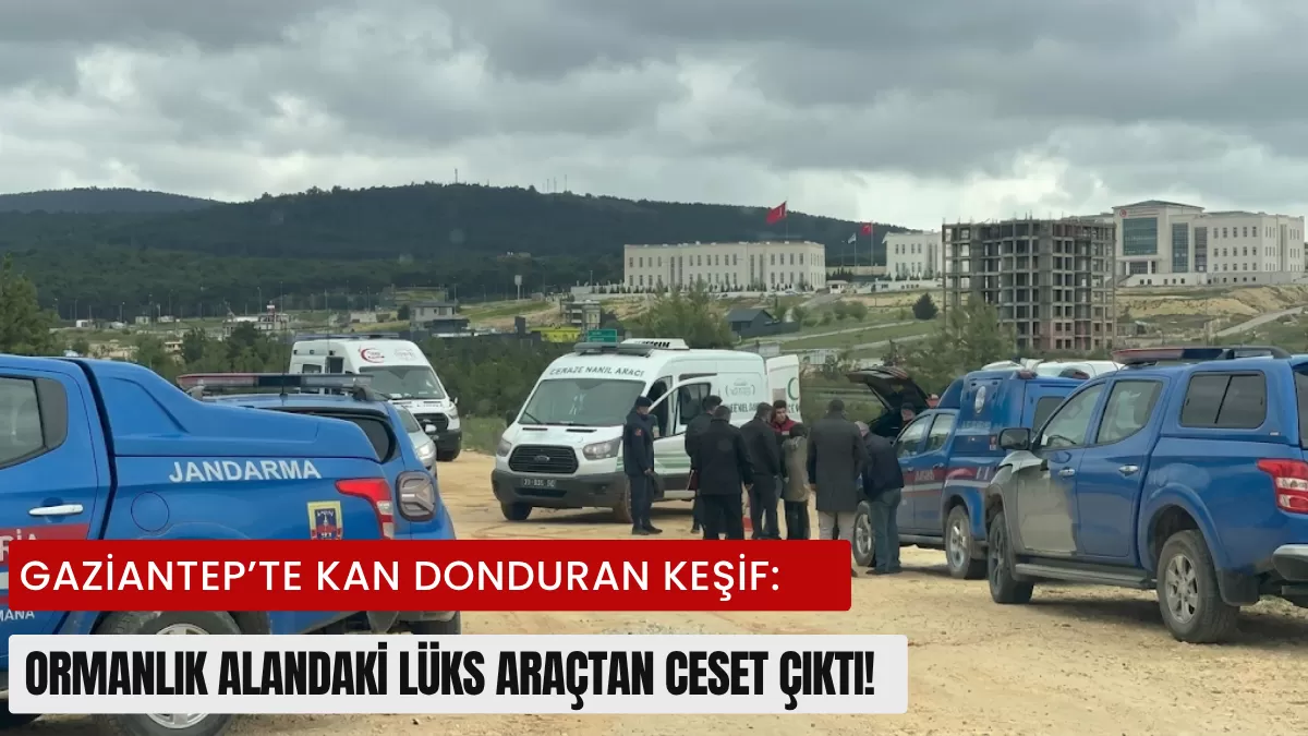 Gaziantep’te Kan Donduran Keşif: Ormanlık Alandaki Lüks Araçtan Ceset Çıktı!