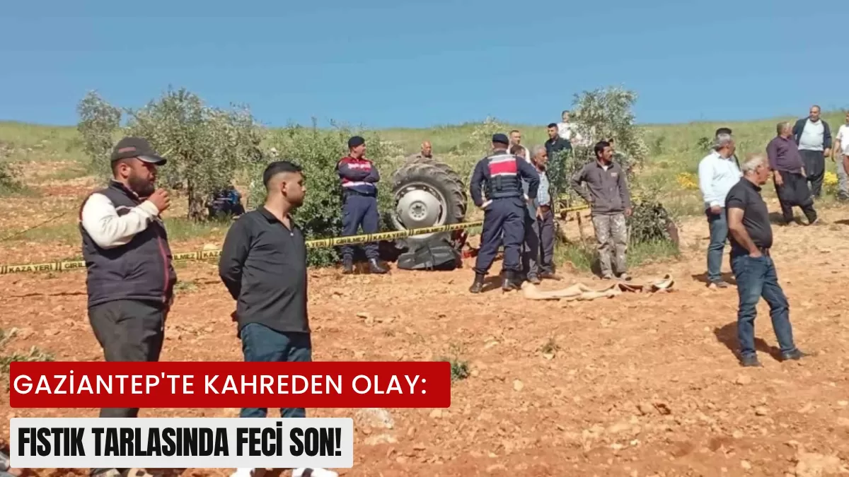 Gaziantep’te Kahreden Olay: Fıstık Tarlasında Feci Son!