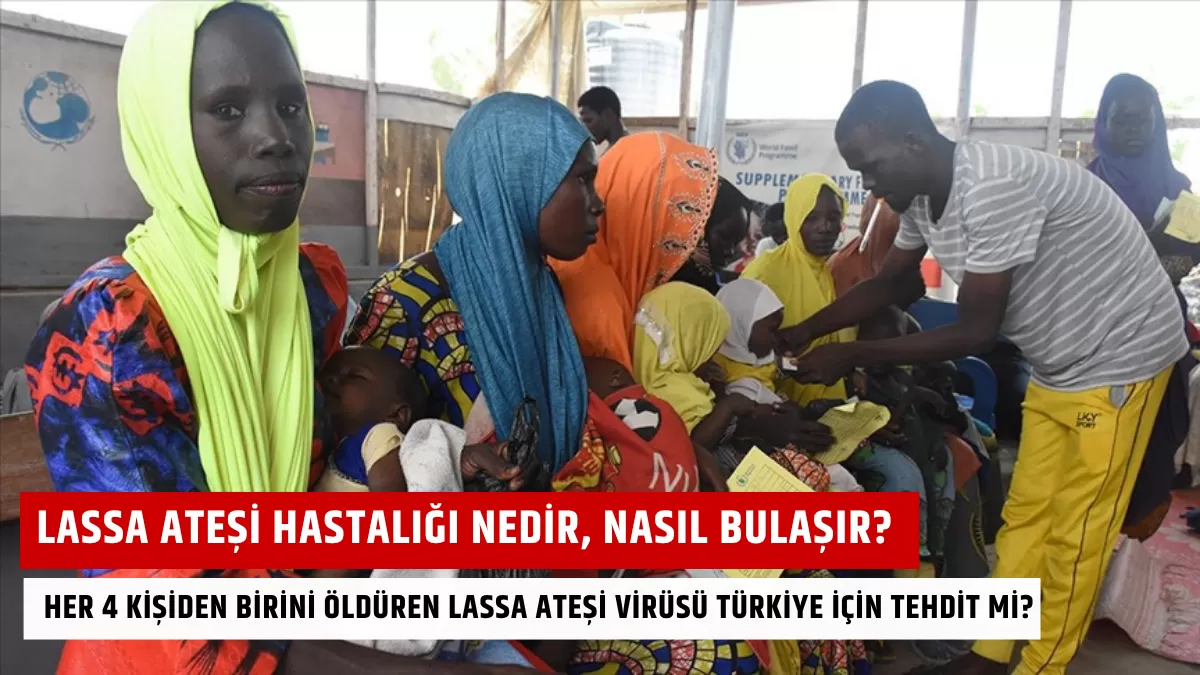 Lassa Ateşi Hastalığı Nedir, Nasıl Bulaşır? Her 4 Kişiden Birini Öldüren Lassa Ateşi Virüsü Türkiye İçin Tehdit mi?