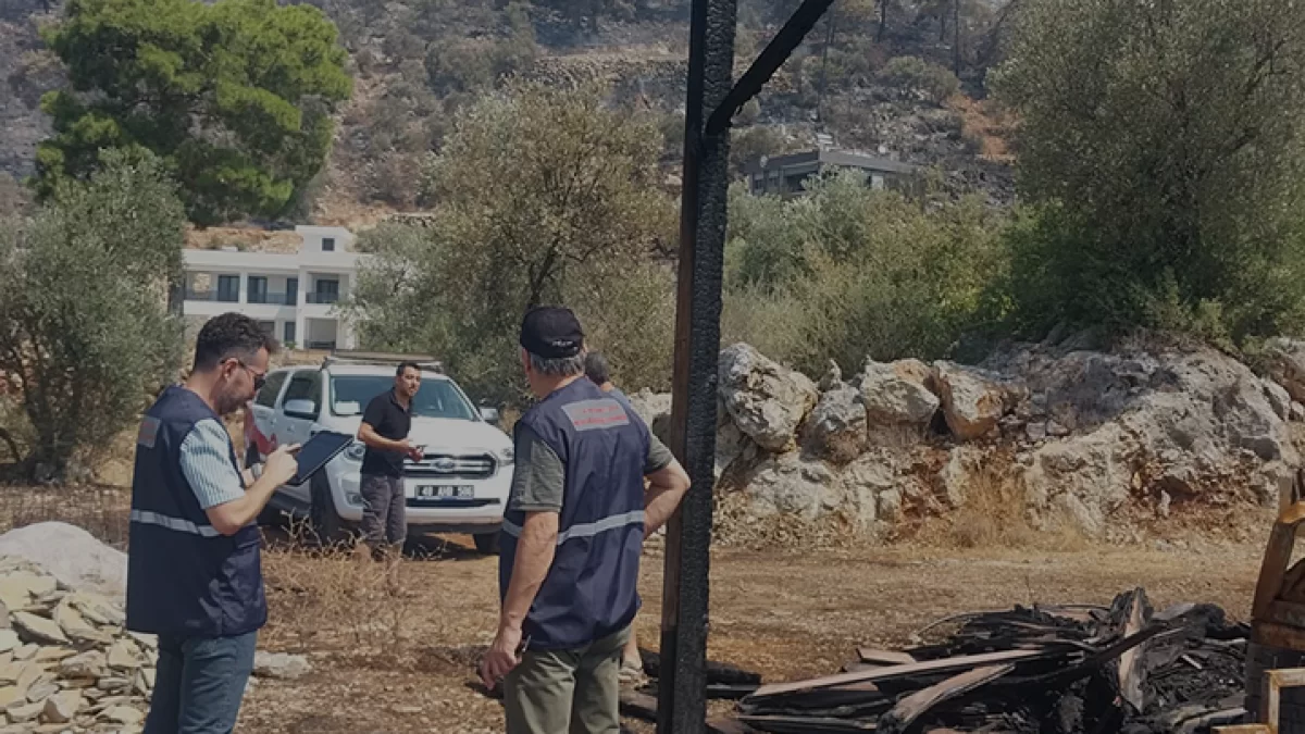 Bakan Kurum Antalya Muğla ve Balıkesirdeki Yangın Hasarını Açıkladı