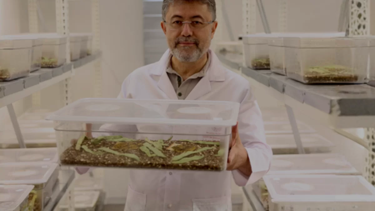 Bakan Yumaklı Pestisit Kalıntı Eylem Planı ile İhracatı Güvenceye Alıyor