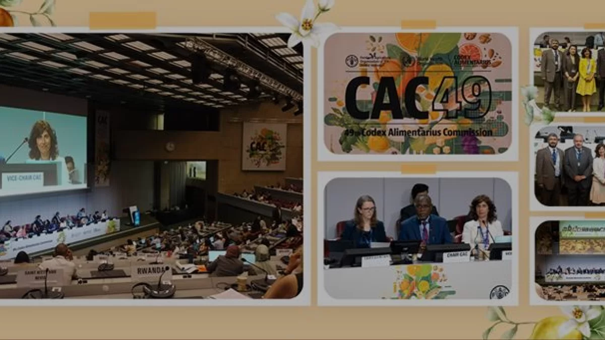 Codex Alimentarius Komisyonu 49 Oturumu Cenevrede Tamamlandı