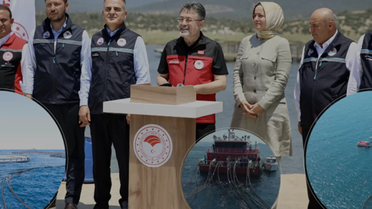 Türkiye Su Ürünleri İhracatında 2,3 Milyar Dolarlık Rekora Ulaştı