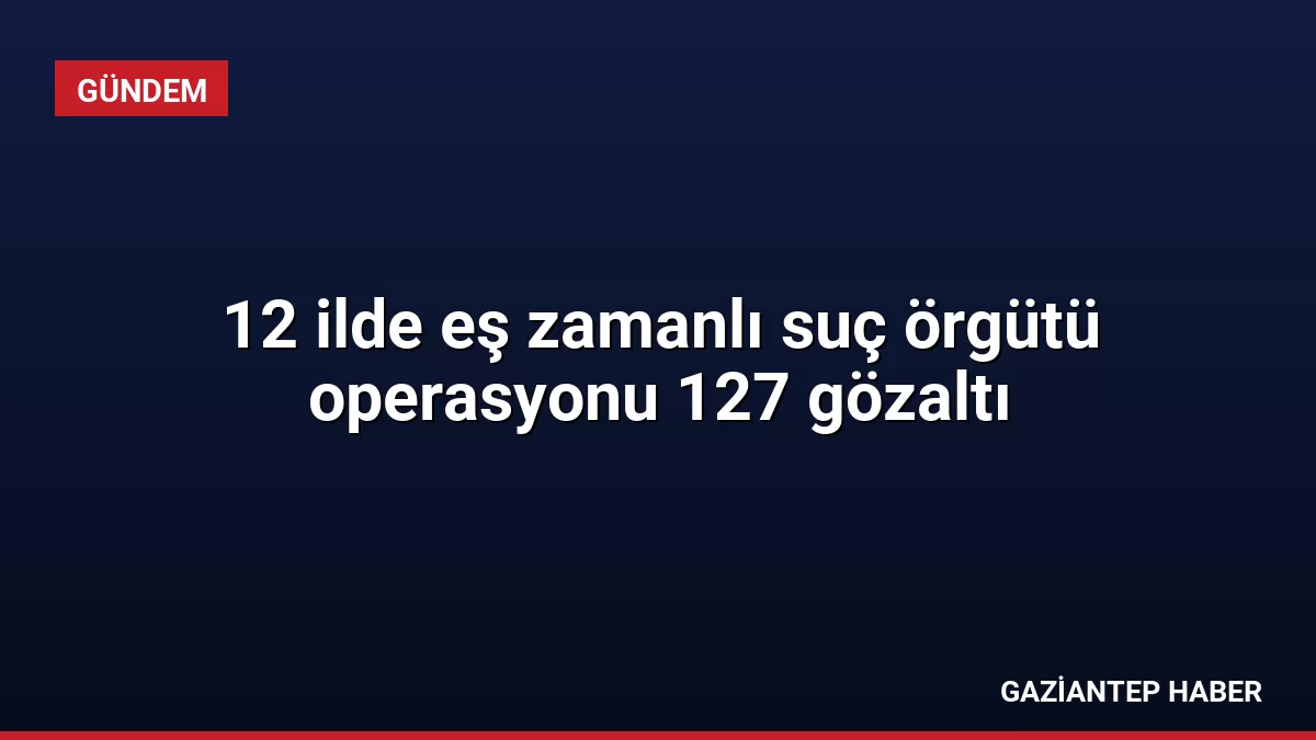 12 ilde eş zamanlı suç örgütü operasyonu 127 gözaltı
