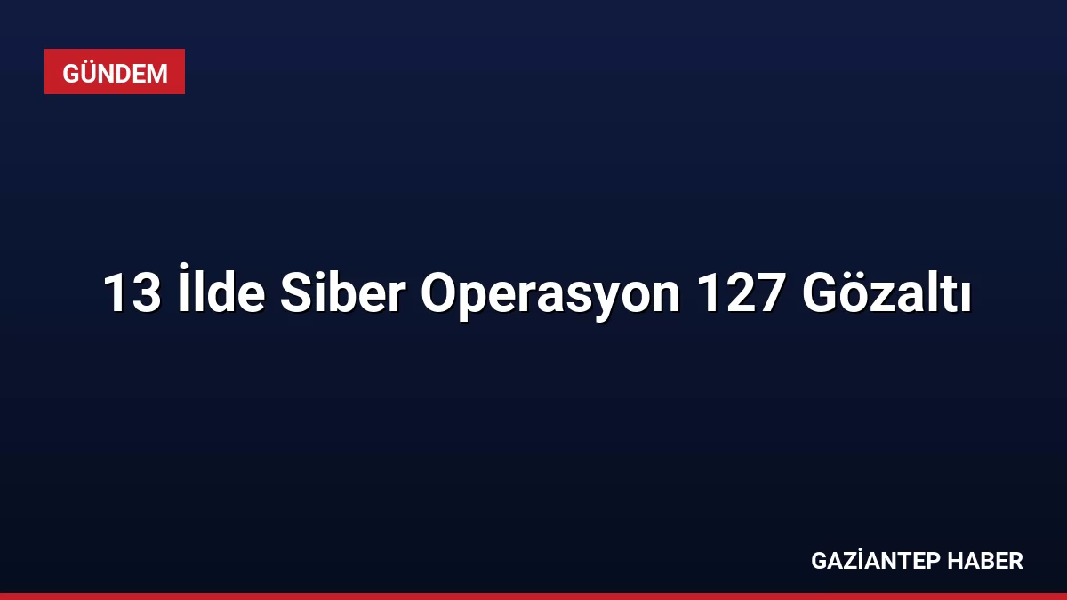 13 İlde Siber Operasyon 127 Gözaltı