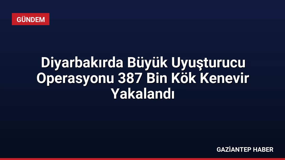 Diyarbakırda Büyük Uyuşturucu Operasyonu 387 Bin Kök Kenevir Yakalandı