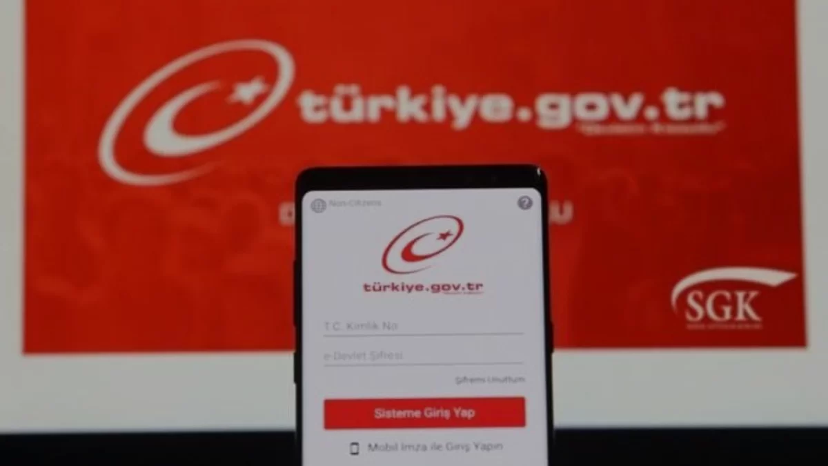 e-Devlet Kapısı Üzerinden Elektronik Para Hesabı Sorgulama Dönemi