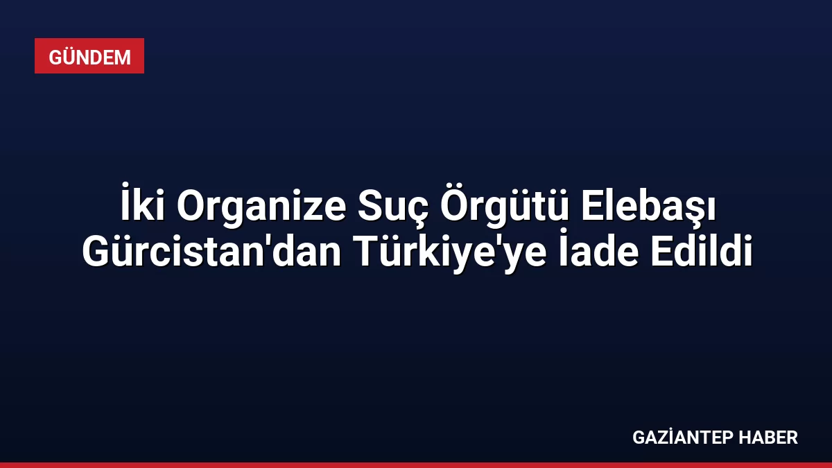 İki Organize Suç Örgütü Elebaşı Gürcistan’dan Türkiye’ye İade Edildi